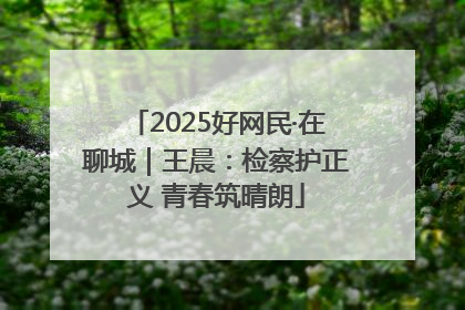 2025好网民·在聊城｜王晨：检察护正义 青春筑晴朗