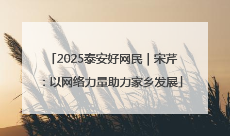 2025泰安好网民｜宋芹：以网络力量助力家乡发展