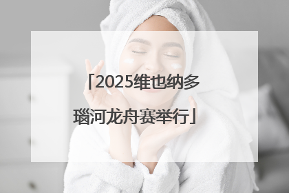 2025维也纳多瑙河龙舟赛举行