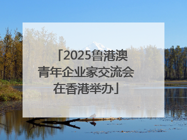 2025鲁港澳青年企业家交流会在香港举办