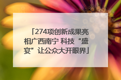 274项创新成果亮相广西南宁 科技“盛宴”让公众大开眼界