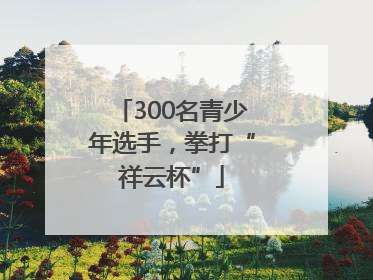 300名青少年选手，拳打“祥云杯”
