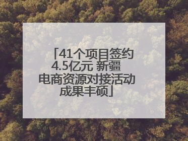 41个项目签约4.5亿元 新疆电商资源对接活动成果丰硕