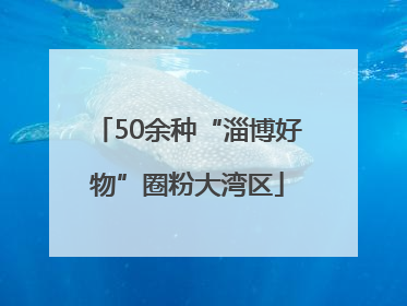 50余种“淄博好物”圈粉大湾区