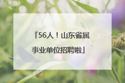 56人！山东省属事业单位招聘啦