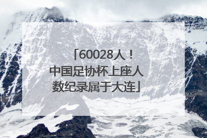 60028人！中国足协杯上座人数纪录属于大连