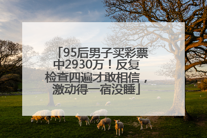 95后男子买彩票中2930万！反复检查四遍才敢相信，激动得一宿没睡