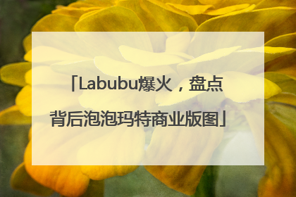 Labubu爆火，盘点背后泡泡玛特商业版图