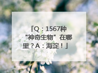 Q：1567种“神奇生物”在哪里？A：海淀！
